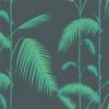 PALM JUNGLE 112-2007